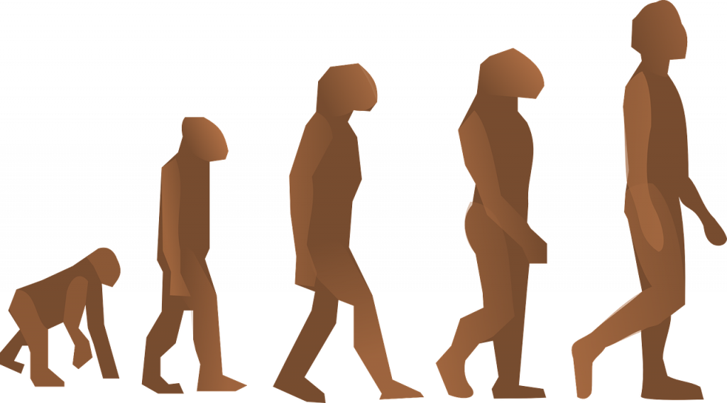 La tradizionale illustrazione delle "specie umane" apparsa impropriamente nei libri di storia