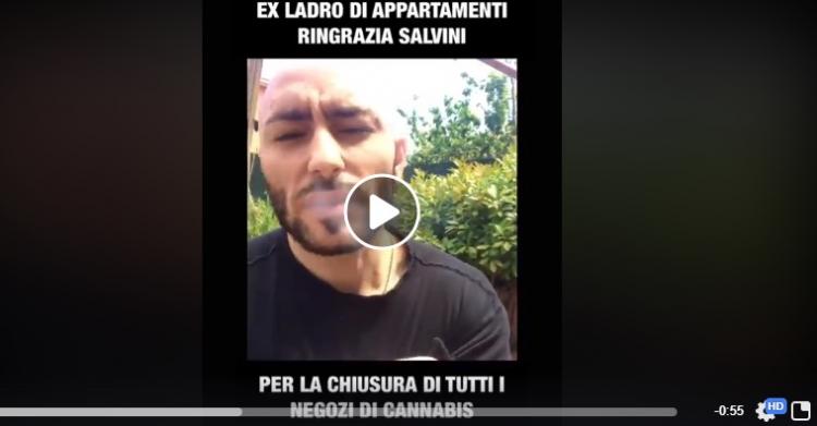 Salvini