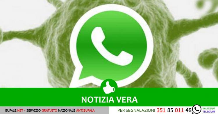 Virus su WhatsApp