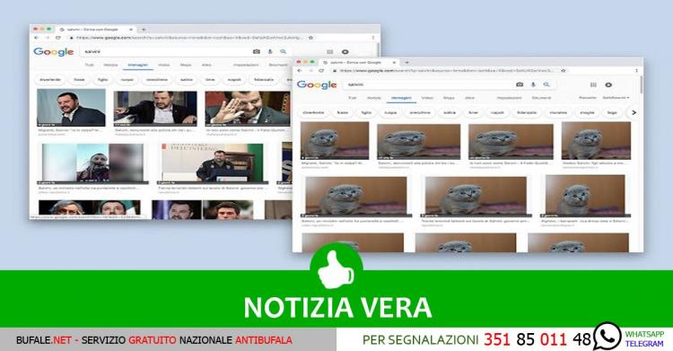 Salvini Blocker