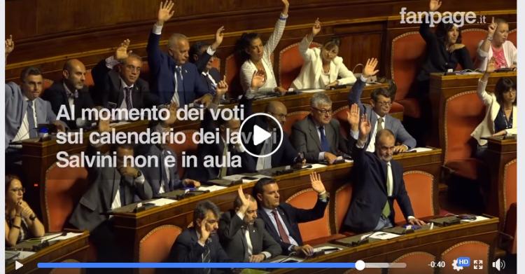 Salvini al Senato