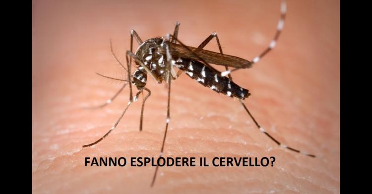 Virus zanzare
