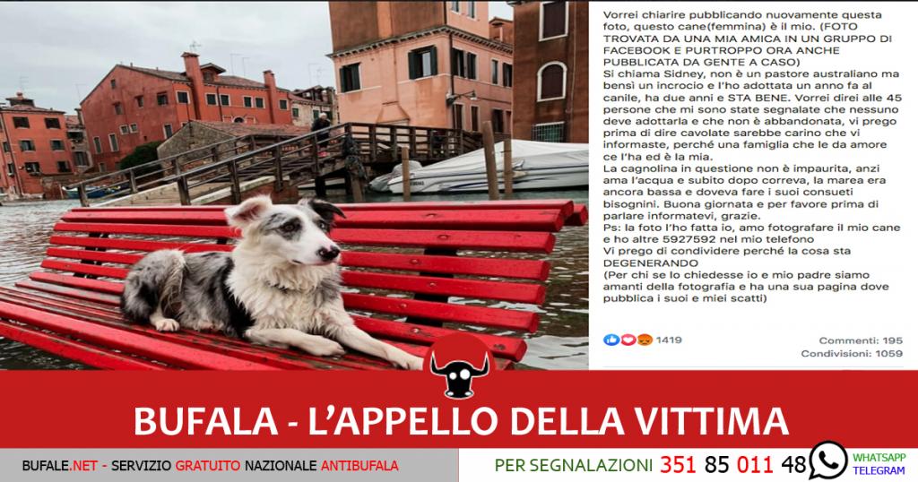 Il Cane Che Ha Visto Dio Riassunto