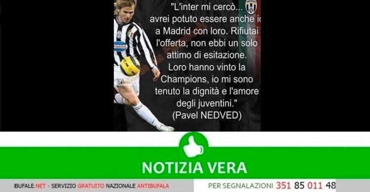 Nedved
