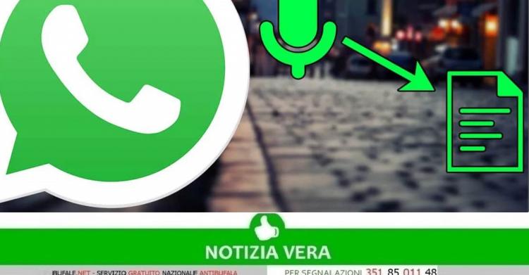 Audio WhatsApp