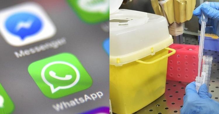 Audio WhatsApp