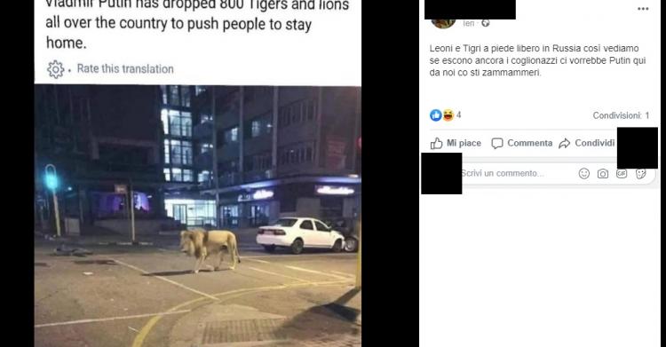 Leoni in Russia