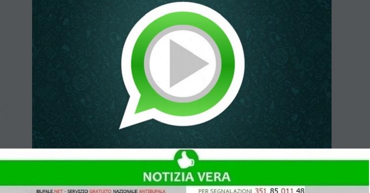 Stato WhatsApp