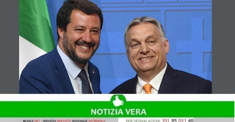 Sondaggio politico