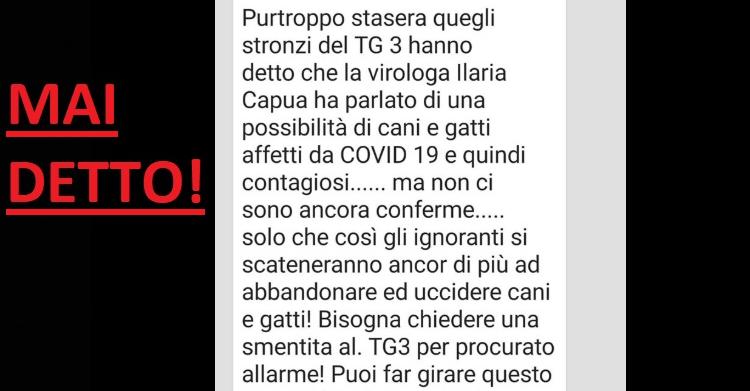 TG3