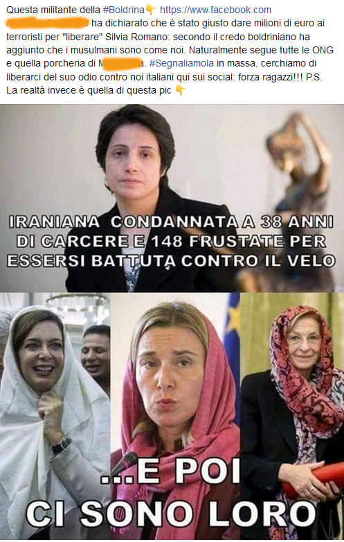 "Questa è una militante della Boldrina, segnalatela in massa, liberatevi del suo Odio" - I veri Odiatori siete voi