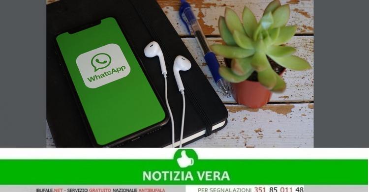 Audio WhatsApp