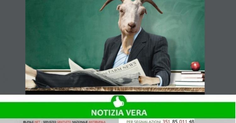 Paese più ignorante