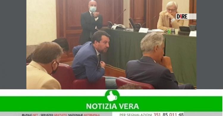 Salvini
