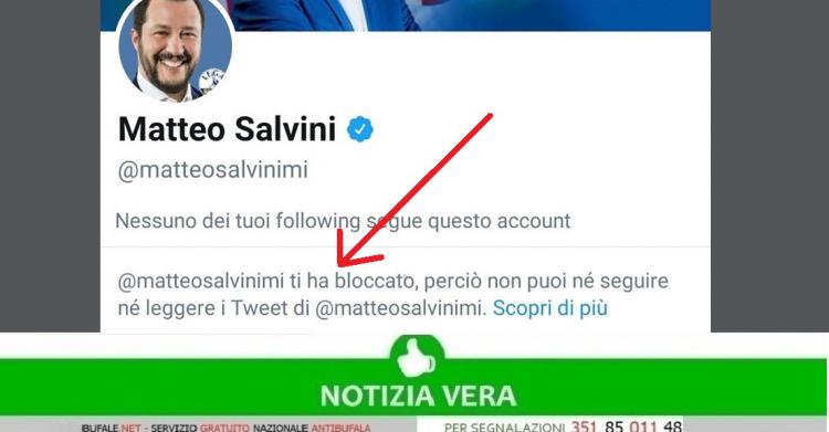 Tweet di Salvini