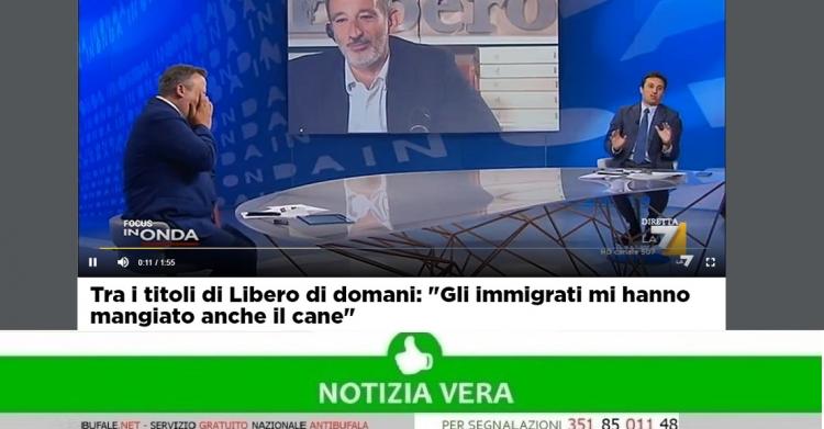 migranti mangiano cani