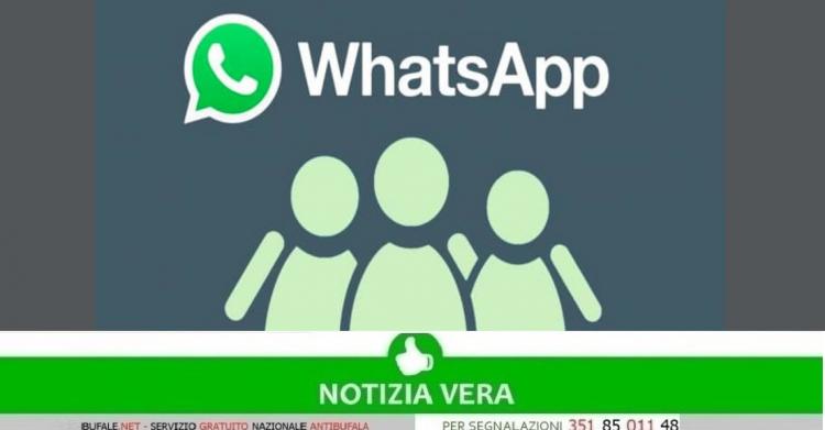 Gruppi WhatsApp