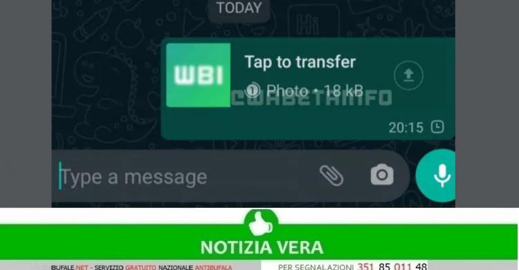 Gruppi WhatsApp