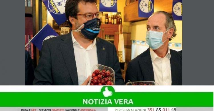 Lista Zaia