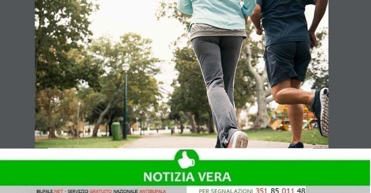 Attività motoria