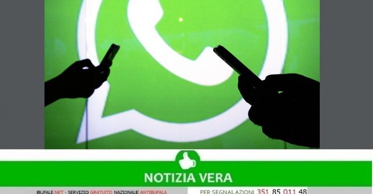 Gruppi WhatsApp