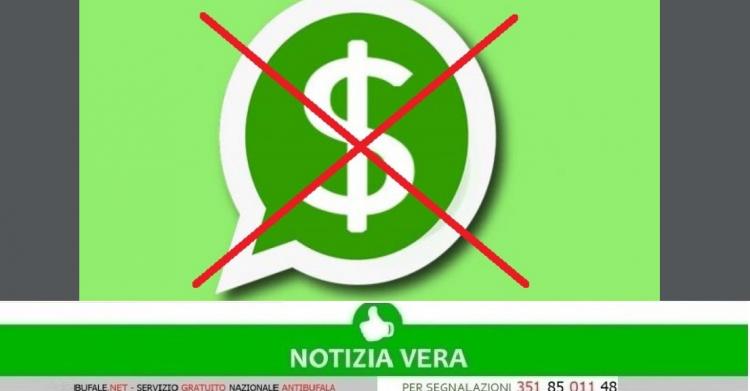 WhatsApp a pagamento