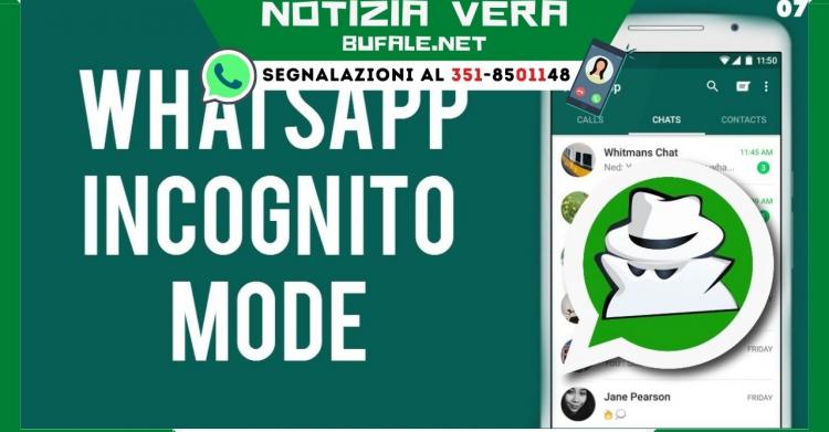 Aggiornamento WhatsApp