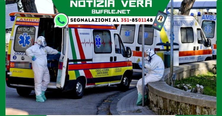 Negazionista