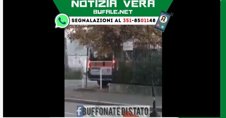 Negazionista