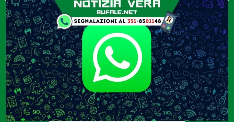 aggiornamento WhatsApp