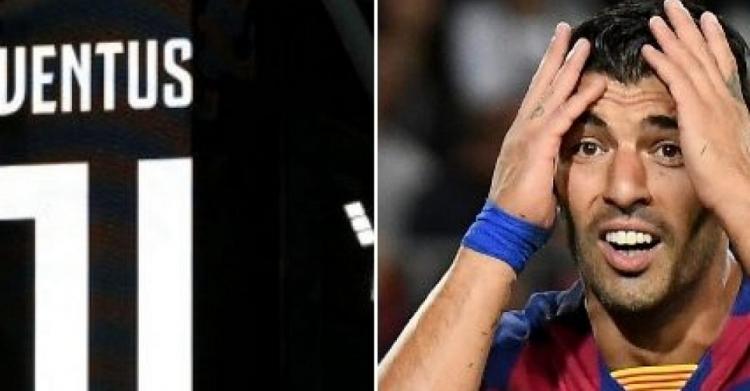 Caso Suarez