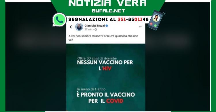 Nuzzi