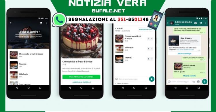 aggiornamento WhatsApp