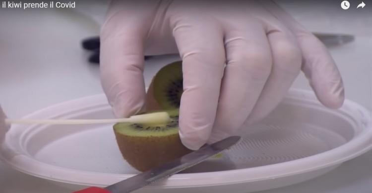 kiwi positivo al Covid