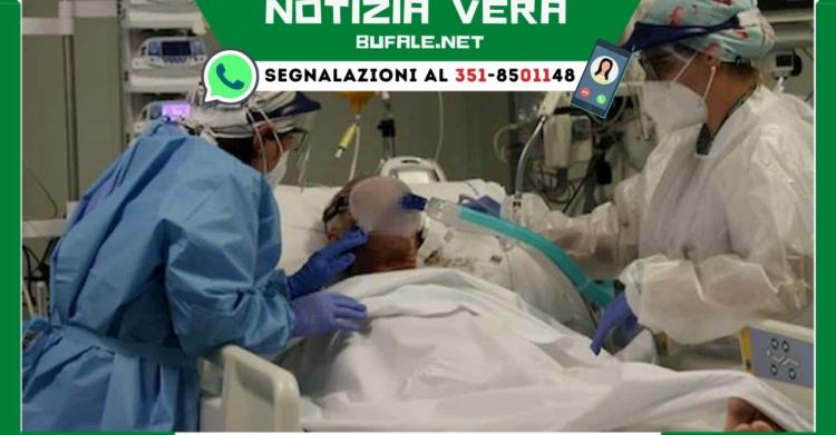 Negazionista
