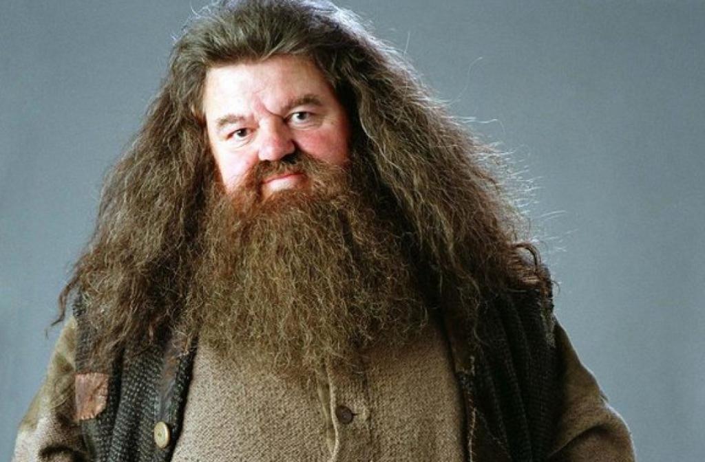 Sei un mago Renz...cioè, Harry