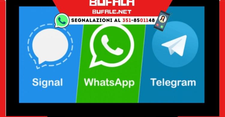 Signal