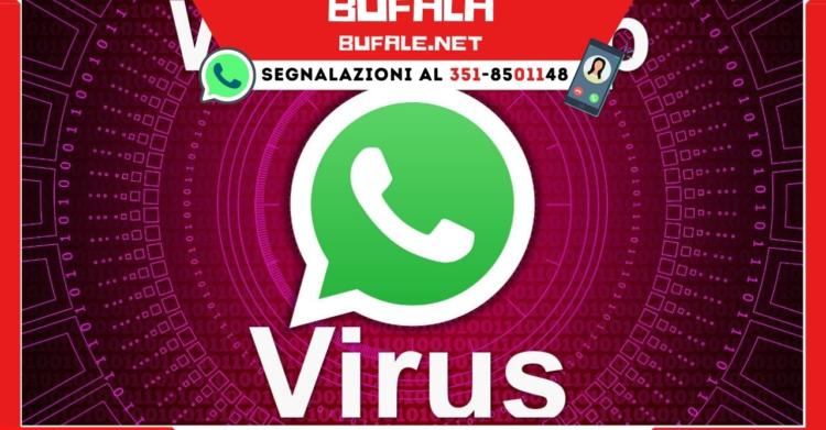 WhatsApp a pagamento