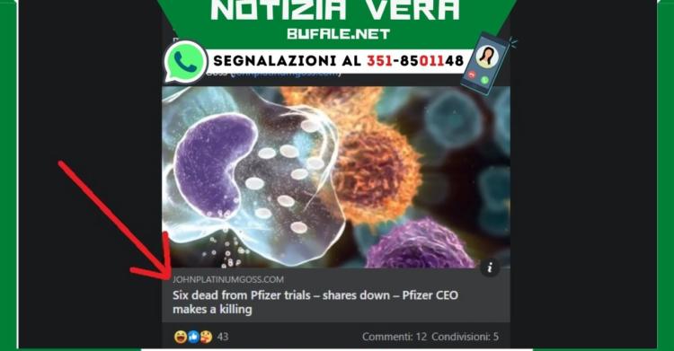 maestra negazionista