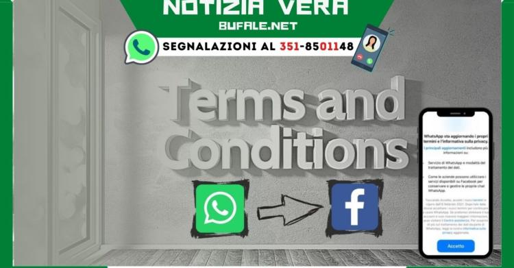 privacy WhatsApp