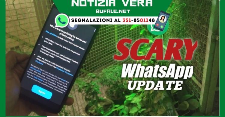 privacy WhatsApp