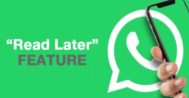 Aggiornamento WhatsApp