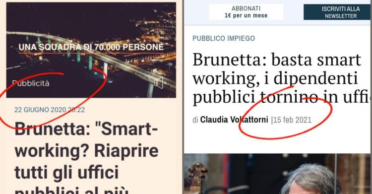 Brunetta