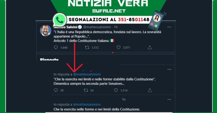 Salvini