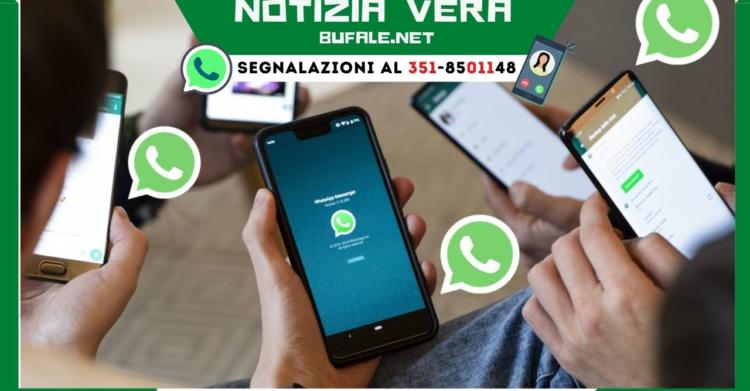 aggiornamento WhatsApp