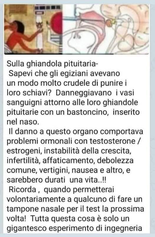 "Sapete che gli egizi danneggiavano i vasi sanguigni intorno alla ghiandola pituitaria con un bastoncino?", i Novax riscrivono la storia