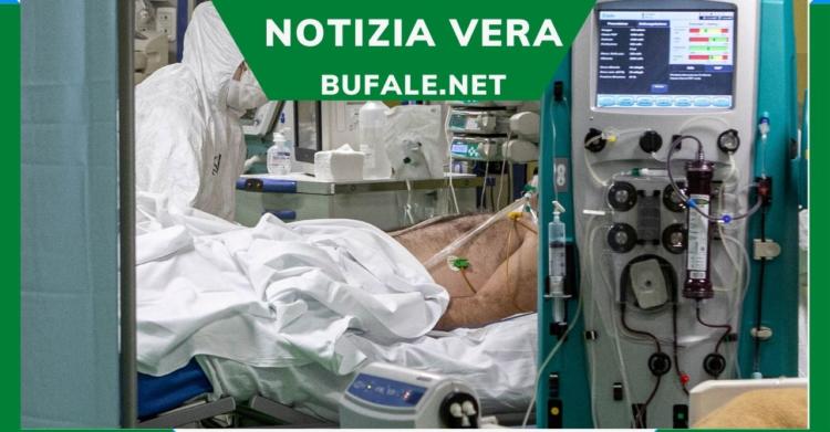 negazionista
