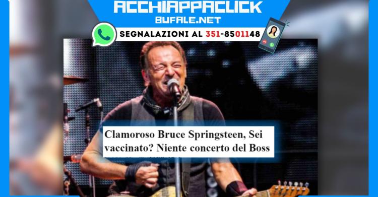acchiappaclick springsteen vaccino