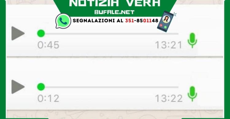 aggiornamento WhatsApp