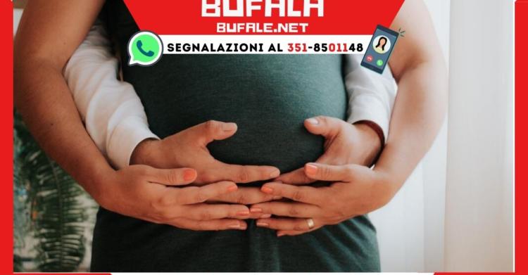 calabrese mette incinta